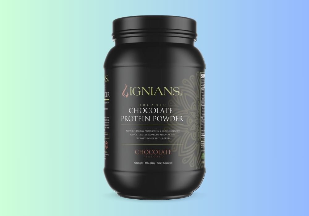 The Best Organic Protein Powders: Your Ultimate Guide