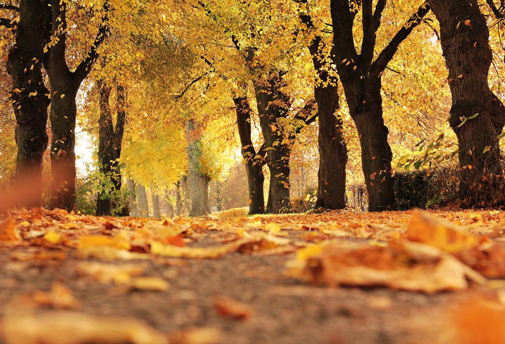 Stress Awareness Tips: Simple Ways to Stay Calm and Focused