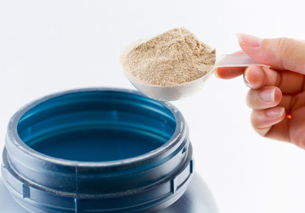 What Is Vegan Protein Powder?