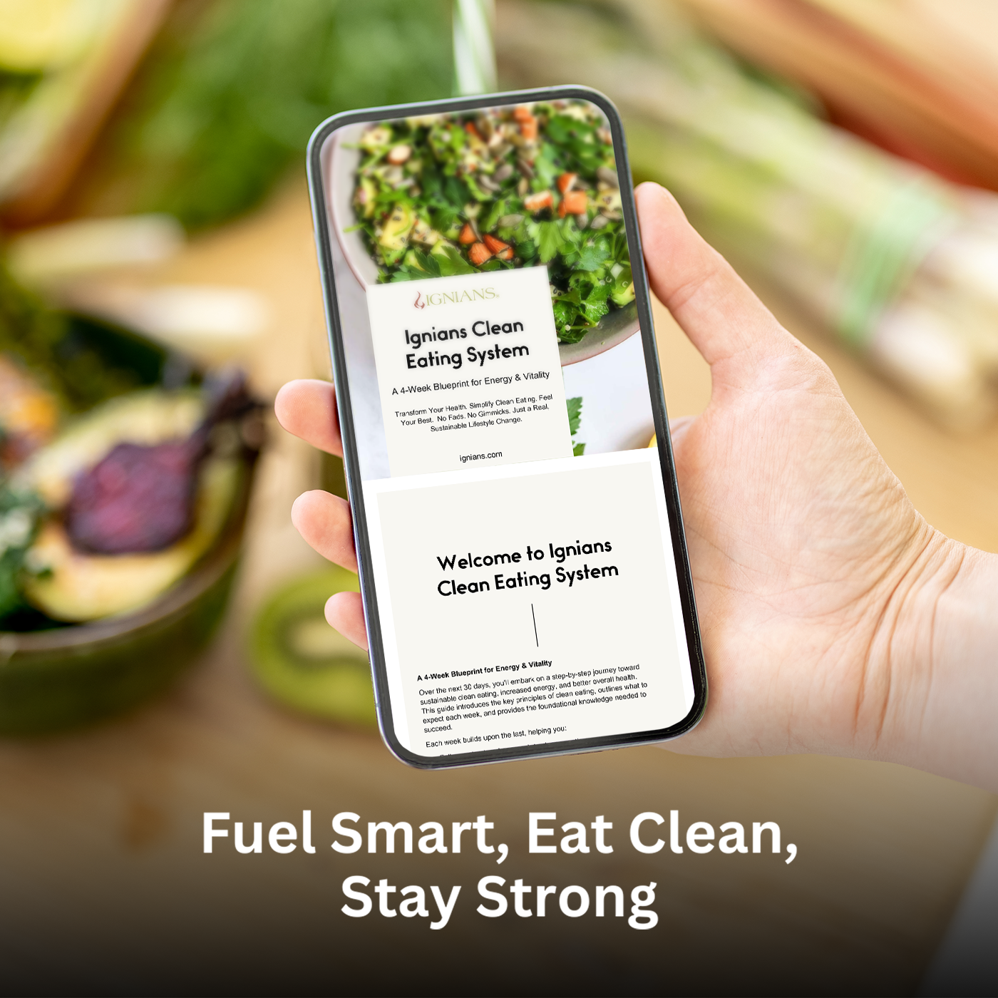 Ignians_Clean_Eating_System_image2