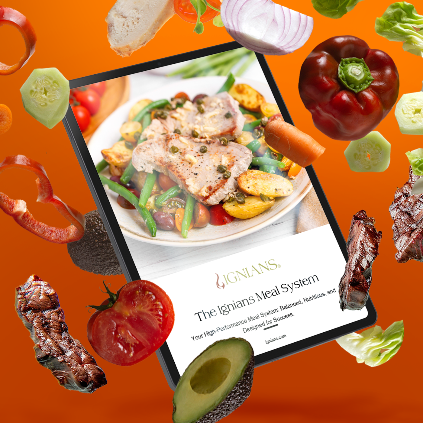 Ignians_Meal_System_image1